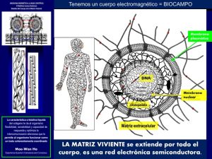 Matriz viviente